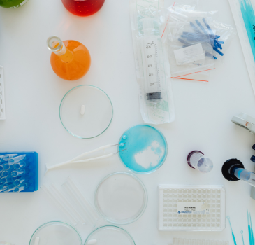 Multi-Sample Blood Collection Needles – Vero Animal Health
